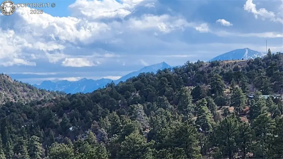 47 White Cloud Drive, Cotopaxi, CO 81223 - #3