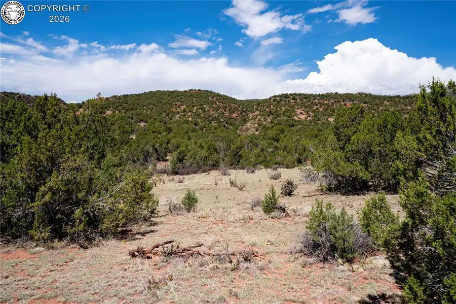 Lots 6.7 Iron Handle Road, Penrose, CO 81240 - #2