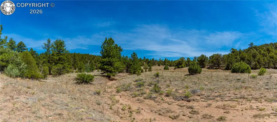 TBD L Arnold Drive, Cotopaxi, CO 81223 - #2