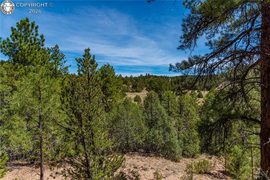 TBD L Arnold Drive, Cotopaxi, CO 81223 - #3