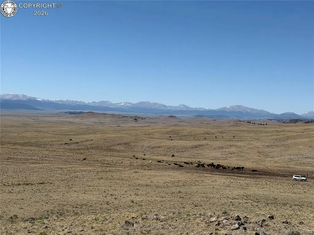 3216 Coweta Trail, Hartsel, CO 80449 - #1