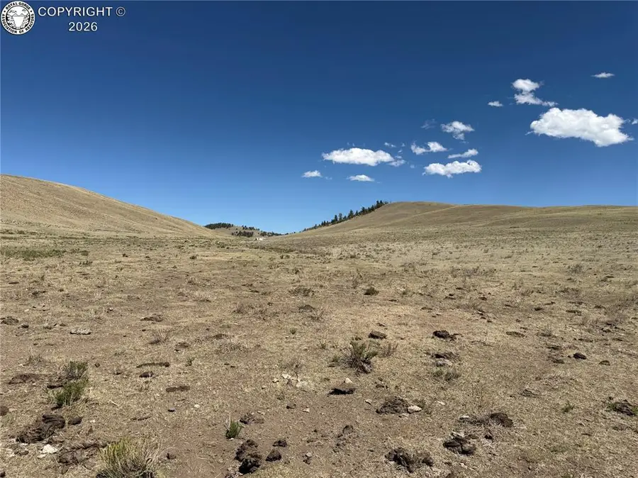 3216 Coweta Trail, Hartsel, CO 80449 - #2