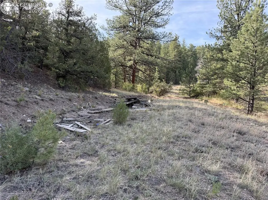 594 Maurice Drive, Cotopaxi, CO 81223 - #1