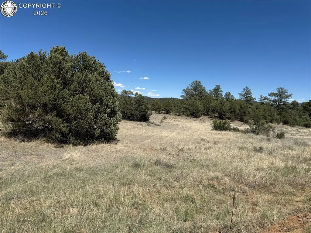 520 W View Road, Cotopaxi, CO 81223 - #1