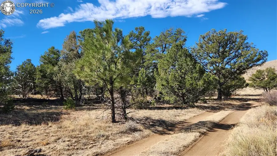 TBD L I Path, Cotopaxi, CO 81223 - #2