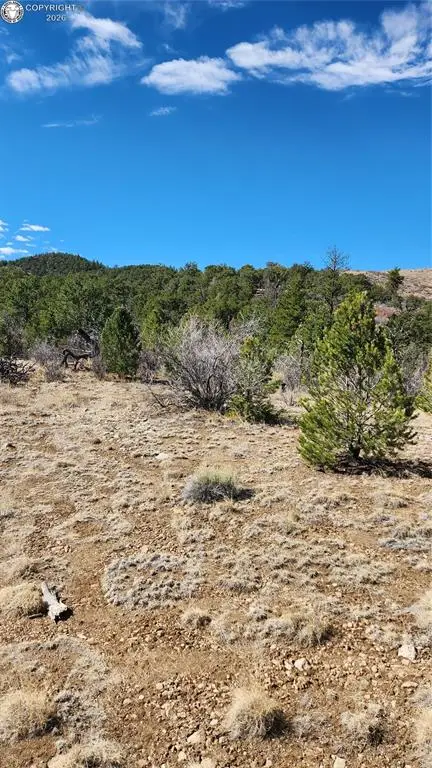 TBD L I Path, Cotopaxi, CO 81223 - #3