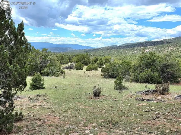 TBD Lot 1 County Road 132, Penrose, CO 81240