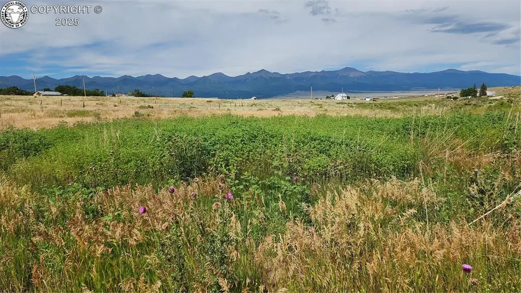 420 Belford Street, Silver Cliff, CO 81252 - #1