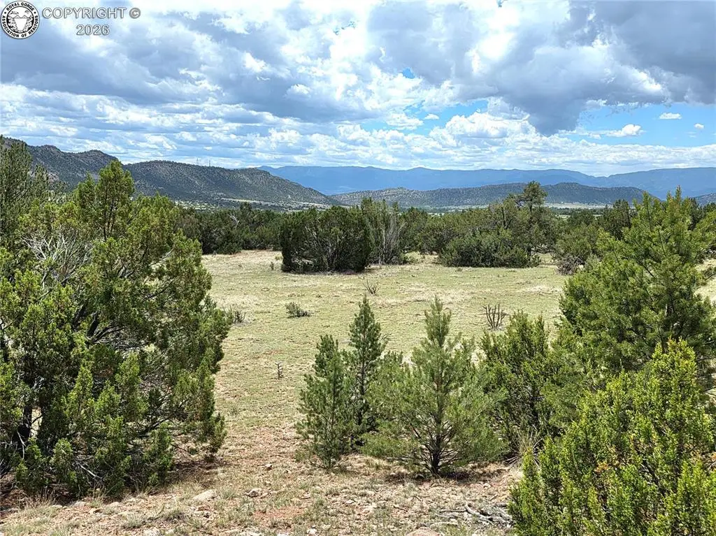 TBD Lot 2 County Road 132, Penrose, CO 81240 - #1