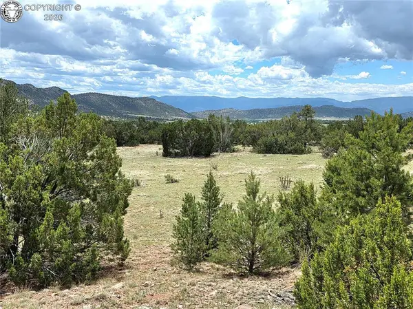 TBD Lot 2 County Road 132, Penrose, CO 81240