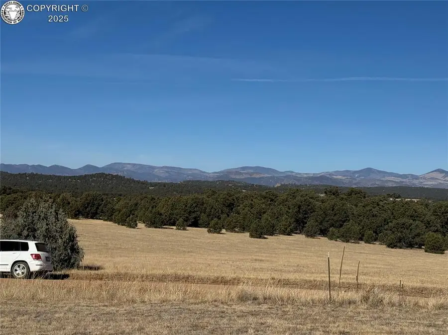 474 Deer Run Drive, Cotopaxi, CO 81223 - Image #3