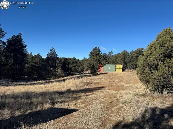 84 Coyote Run, Cotopaxi, CO 81223