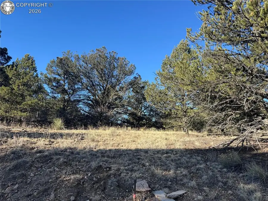 84 Coyote Run, Cotopaxi, CO 81223 - #2