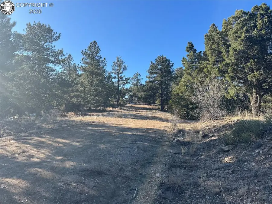 84 Coyote Run, Cotopaxi, CO 81223 - #3