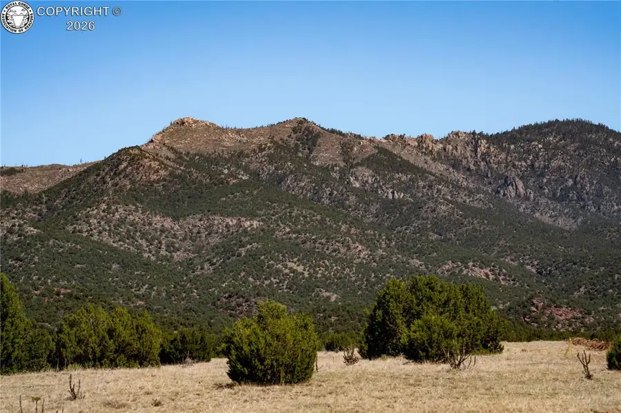 TBD Lot 3 Iron Handle Road, Penrose, CO 81240 - #2