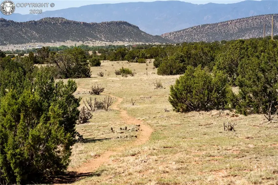 TBD Lot 3 Iron Handle Road, Penrose, CO 81240 - #3