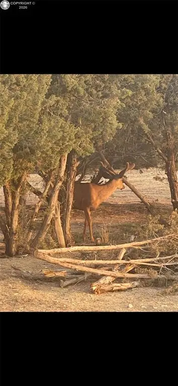 1442 K Street, Penrose, CO 81240 - #3