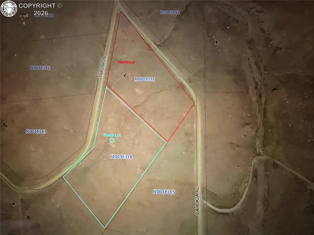 Lot 24 Thrush Lane, Hartsel, CO 80449 - #1