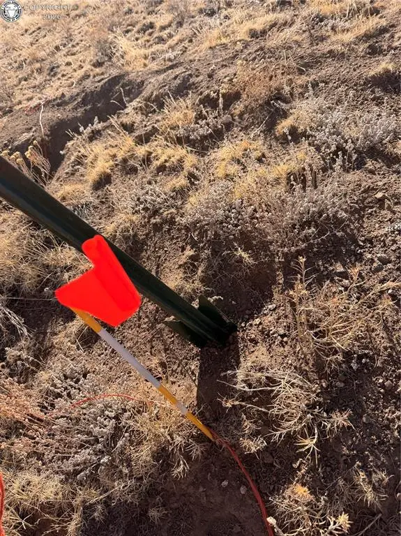 Lot 24 Thrush Lane, Hartsel, CO 80449 - #3