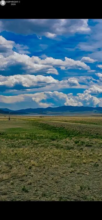 671 S Muley Gulch Drive, Hartsel, CO 80449