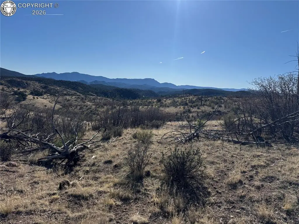 TR-28 36th Trail, Cotopaxi, CO 81223 - #1