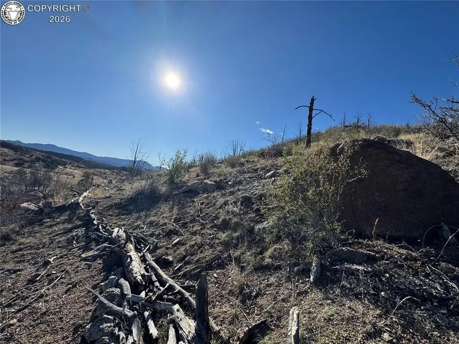 TR-28 36th Trail, Cotopaxi, CO 81223 - #3