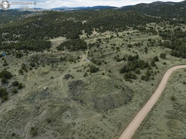 43 Prairie Dog Lane, Cotopaxi, CO 81223