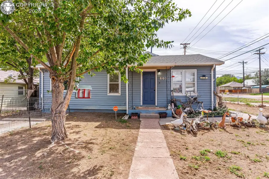 802 Phay Avenue, Canon City, CO 81212 - #2