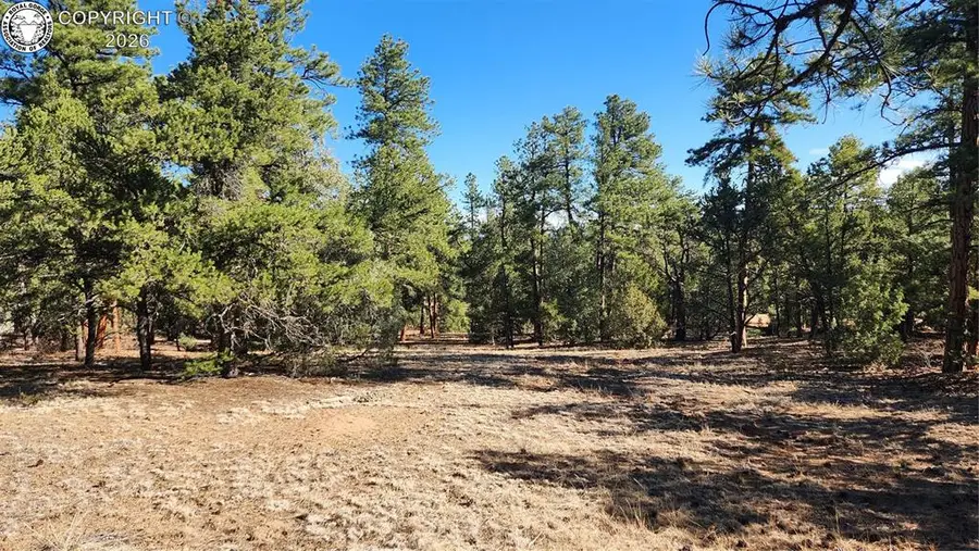 2417 Indian Wells Road, Cotopaxi, CO 81223 - #3