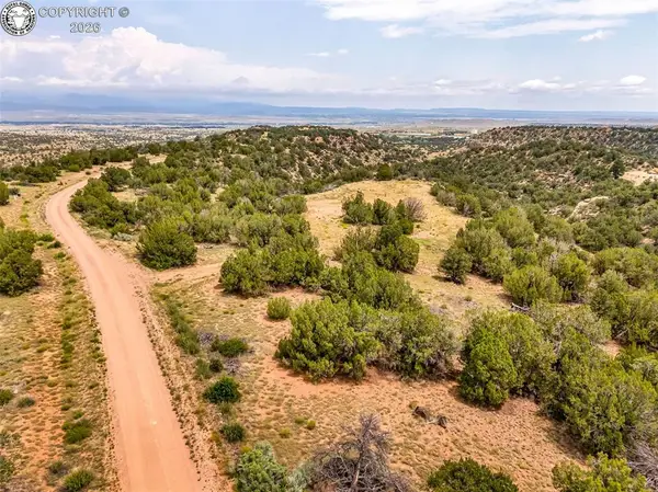 TBD Newlin Ridge Road, Florence, CO 81226