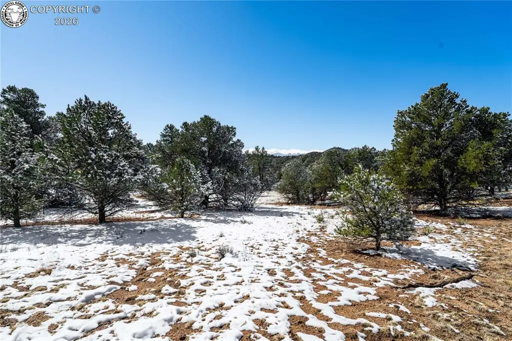 100 Kelsey Court, Cotopaxi, CO 81223 - #1