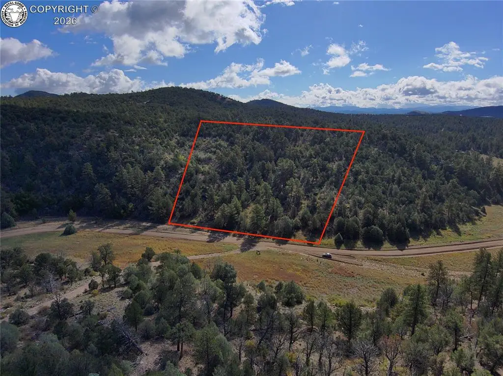 176 Arnold Drive, Cotopaxi, CO 81223 - #1