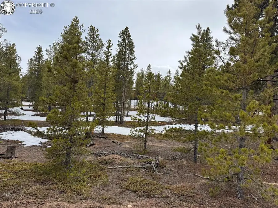 322 Fir Drive, Leadville, CO 80461 - Image #2