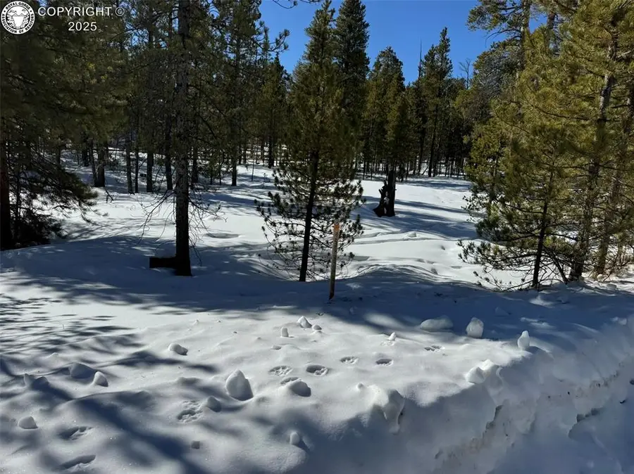 322 Fir Drive, Leadville, CO 80461 - Image #3