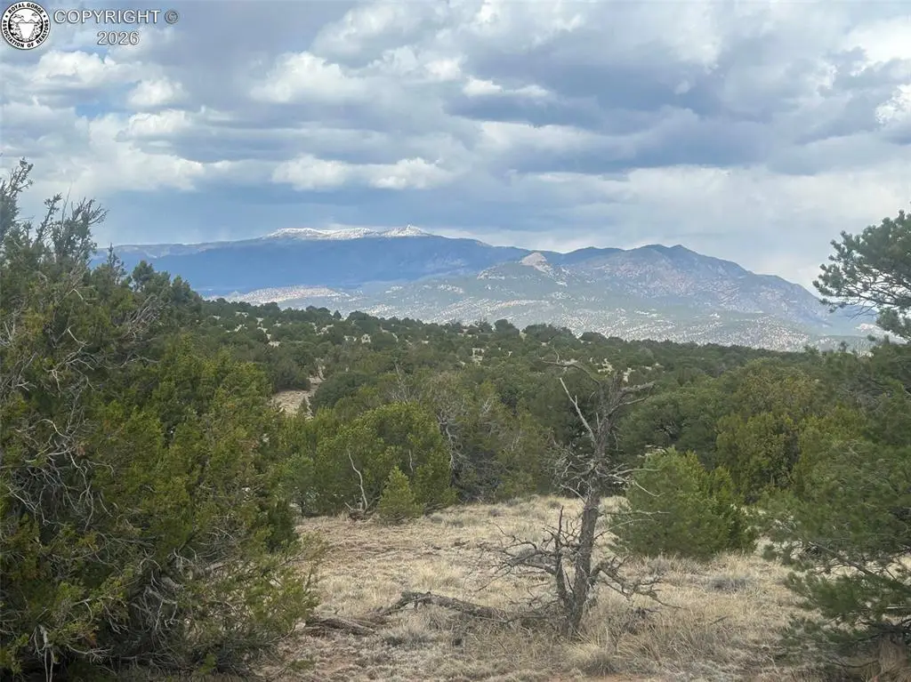 TBD County Road 530, Walsenburg, CO 81089 - #1