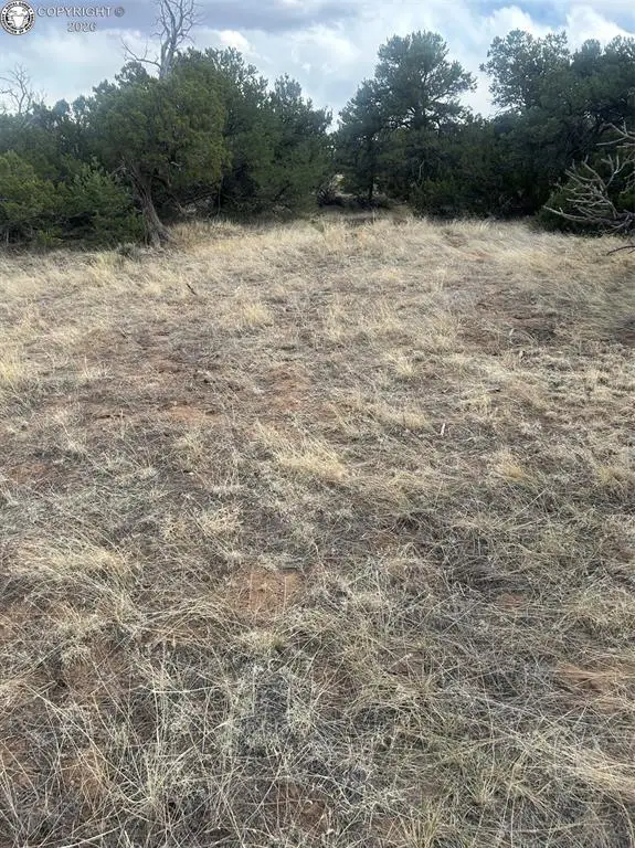 TBD County Road 530, Walsenburg, CO 81089 - #3