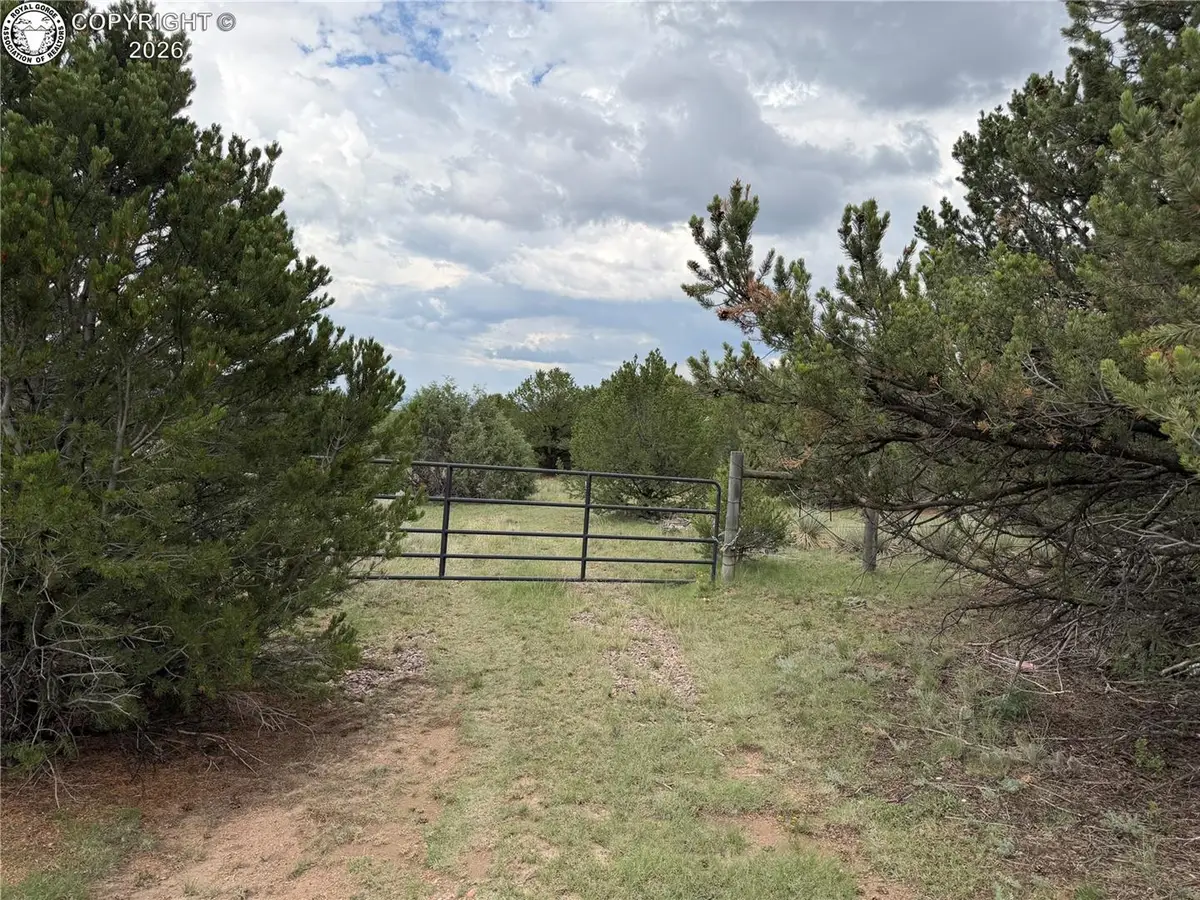 1638 20th Trail, Cotopaxi, CO 81223 - #1
