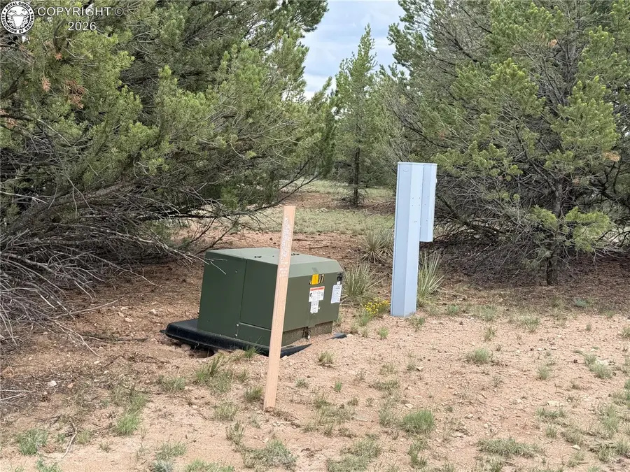 1638 20th Trail, Cotopaxi, CO 81223 - #3