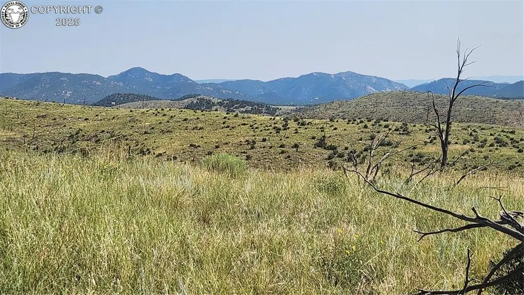 TBD L 32nd Trail, Cotopaxi, CO 81223 - Image #1