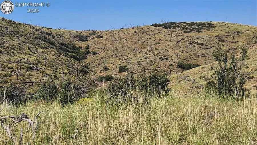 TBD L 32nd Trail, Cotopaxi, CO 81223 - Image #2