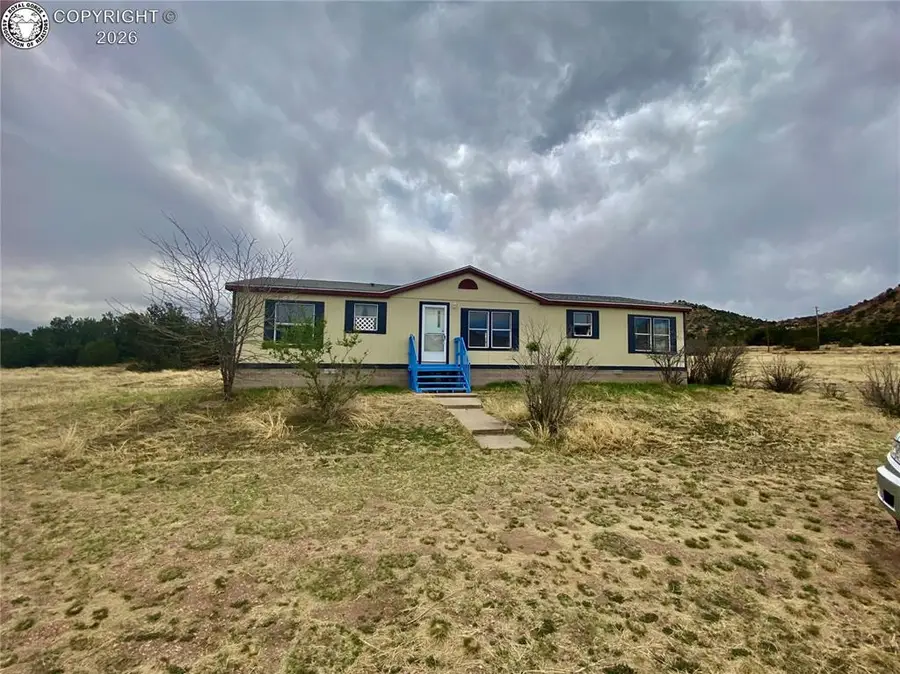 440 Twin Pines Avenue, Rockvale, CO 81244 - #3