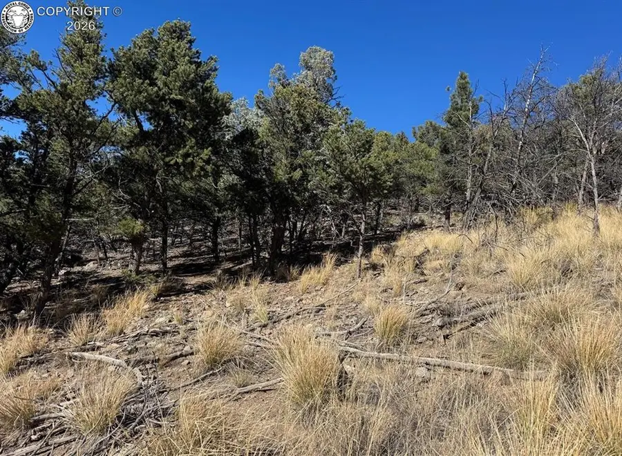 TBD 14th Trail, Cotopaxi, CO 81223 - #2