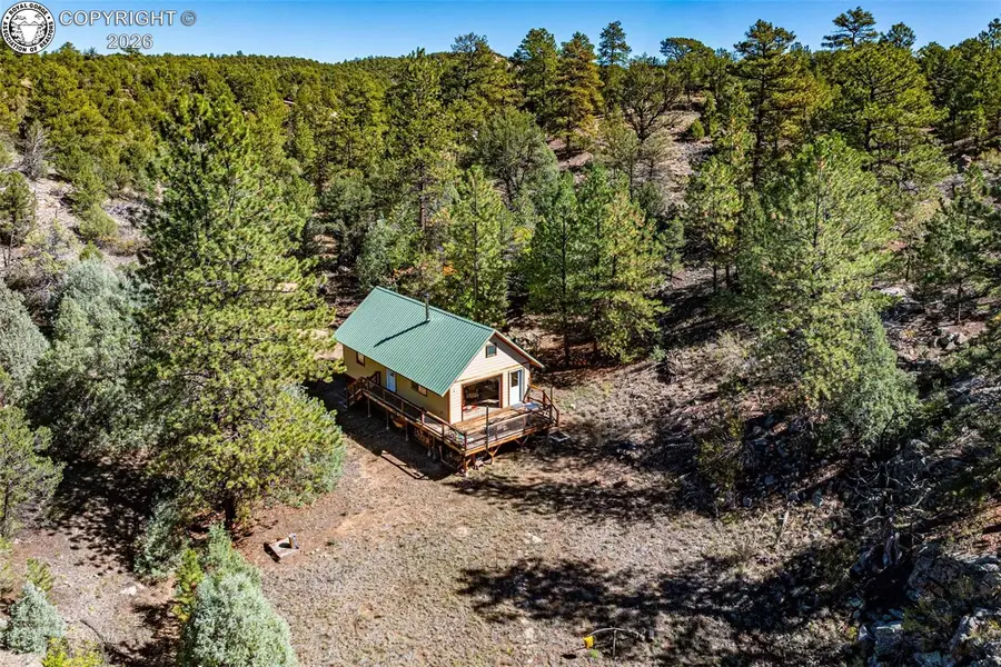 145 Last Chance Lane, Cotopaxi, CO 81223 - #3