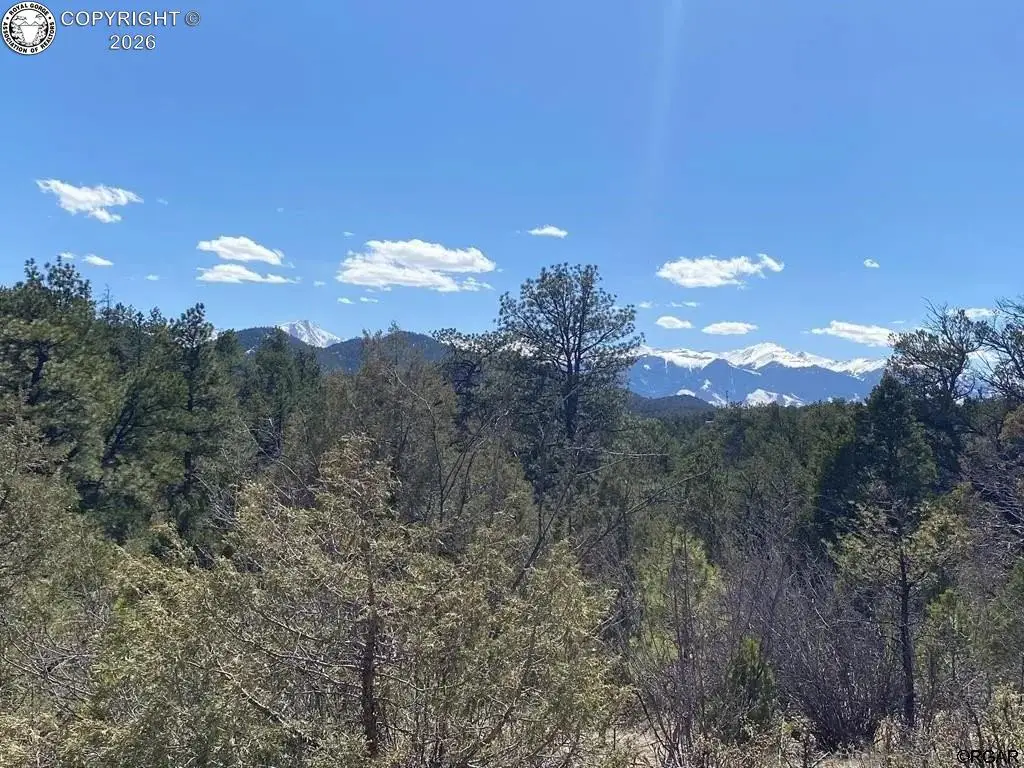 104 F Path, Cotopaxi, CO 81223 - #1