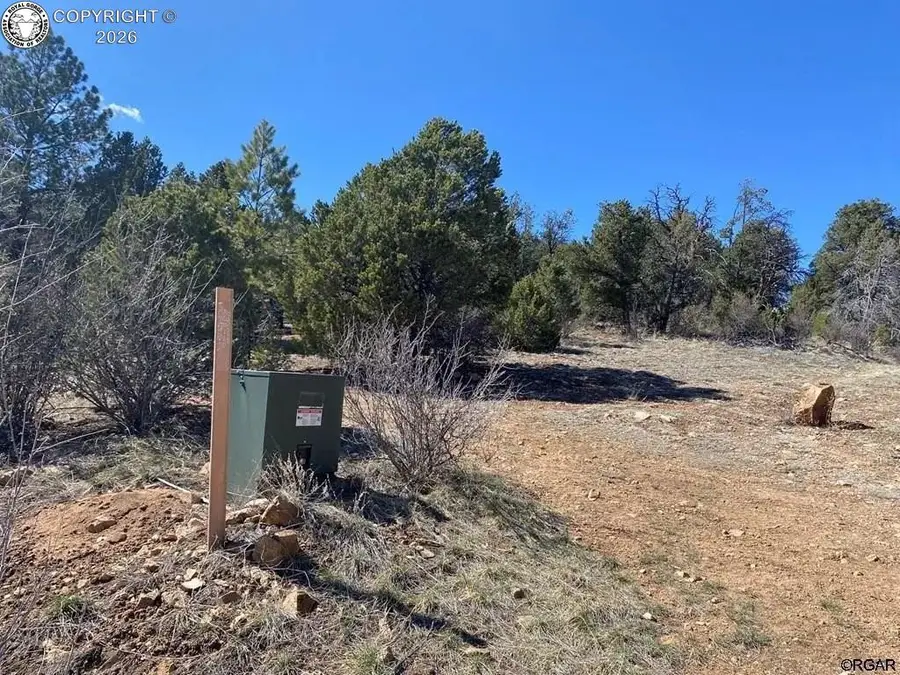 104 F Path, Cotopaxi, CO 81223 - #2