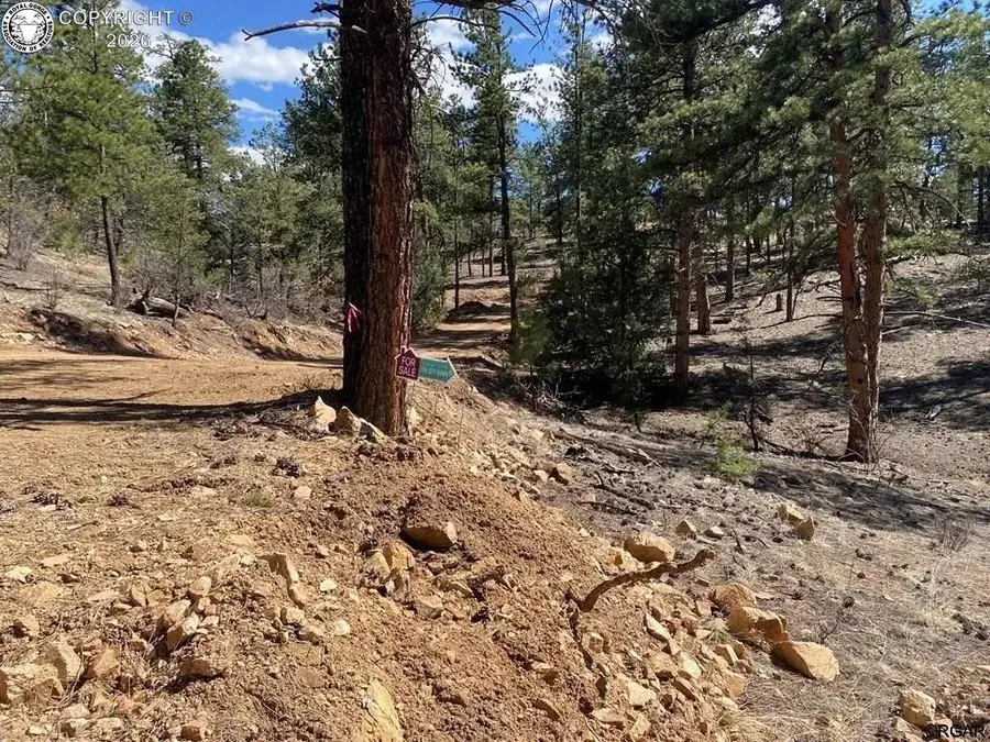 104 F Path, Cotopaxi, CO 81223 - #3