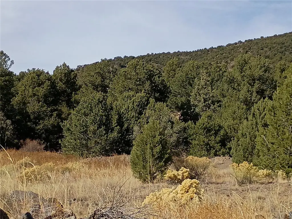 118 Porcupine Road, Cotopaxi, CO 81223 - Image #1