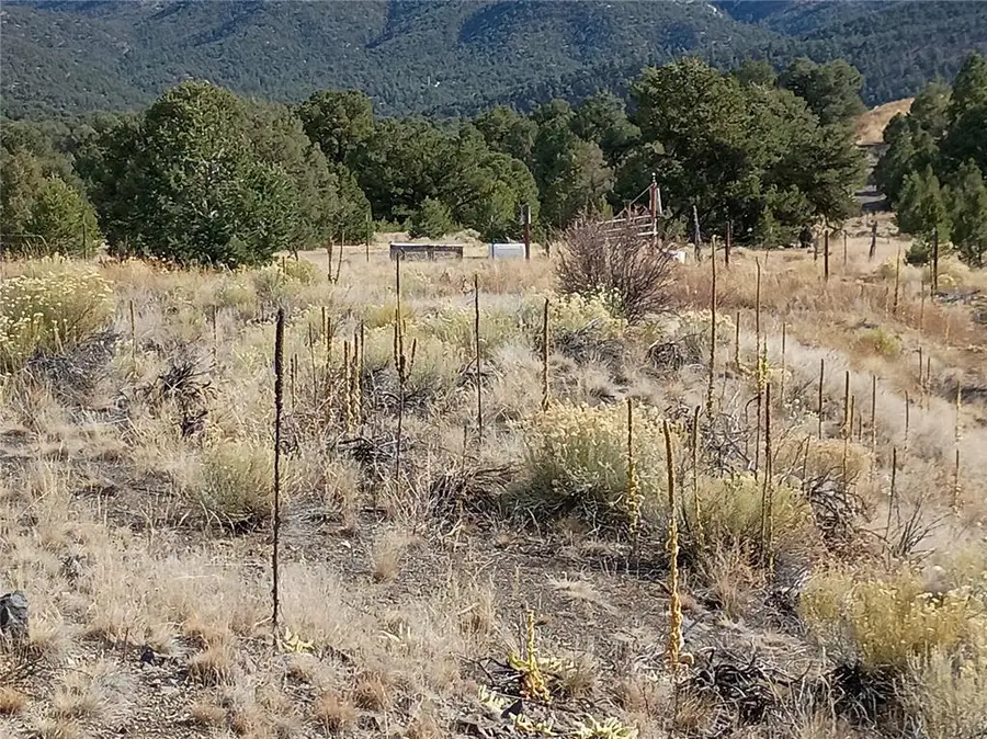 118 Porcupine Road, Cotopaxi, CO 81223 - Image #2