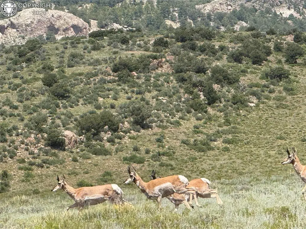 Lot 35 Elk Crossing, Westcliffe, CO 81252 - #1