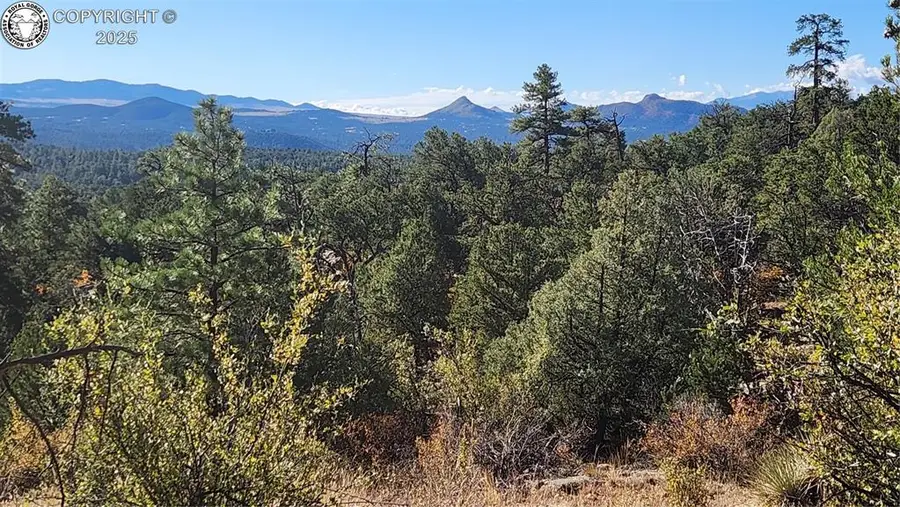 TBD L 42nd Trail, Cotopaxi, CO 81223 - Image #2
